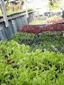 20180121_143321_resized (1)